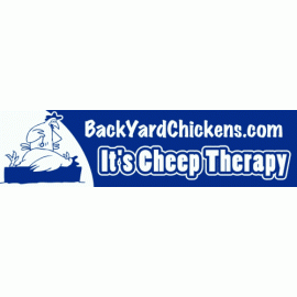 It's Cheep Therapy-Adhesive