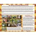 CLEARANCE--2025 Calendar-Free US Shipping