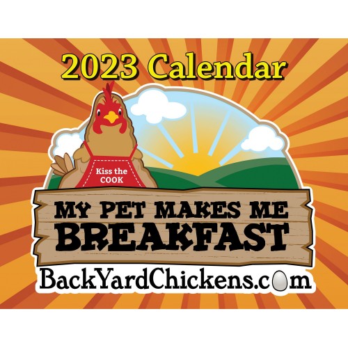 CLEARANCE! Buy One Get One Free! 2023 BYC Calendar-Free US Shipping